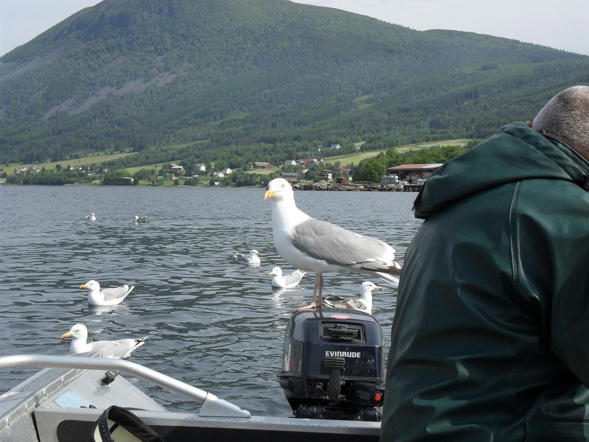 Fagervik Camping Tresfjord Esterno foto